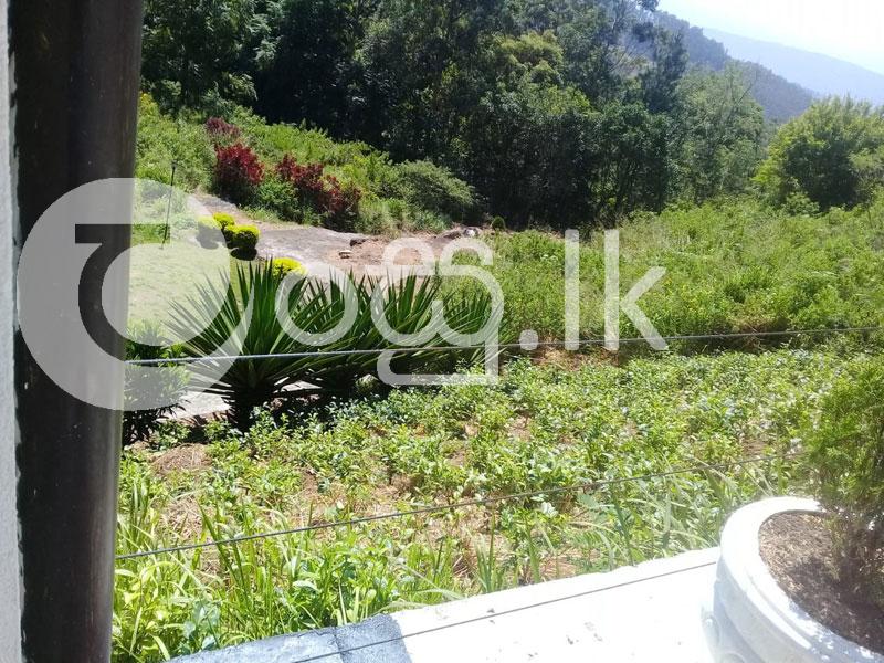 Beautiful Land with Bungalow for Sale in Haputhale Land in Haputhale