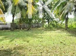 Land 148 perches For Sale Land in Mirigama