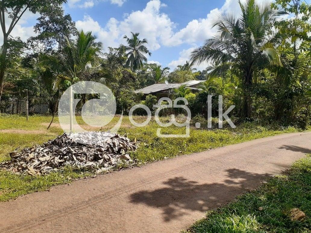කුරුණෑගල පුත්තලම ප්‍රධාන මාර්ගයට 700 මීටර් දුරින් තිත්තවැල්ල Land in Kurunegala