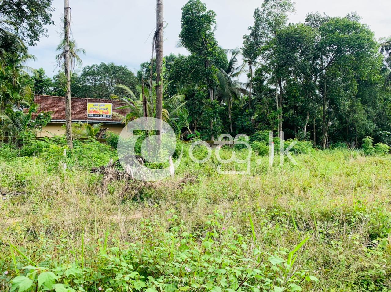 Land For Sale In Ahungalla Land in Balapitiya