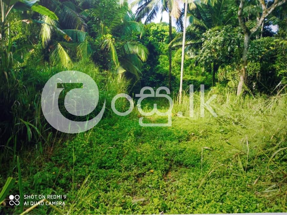 House For Sale Houses in Matara