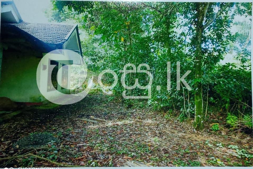 House For Sale Houses in Matara