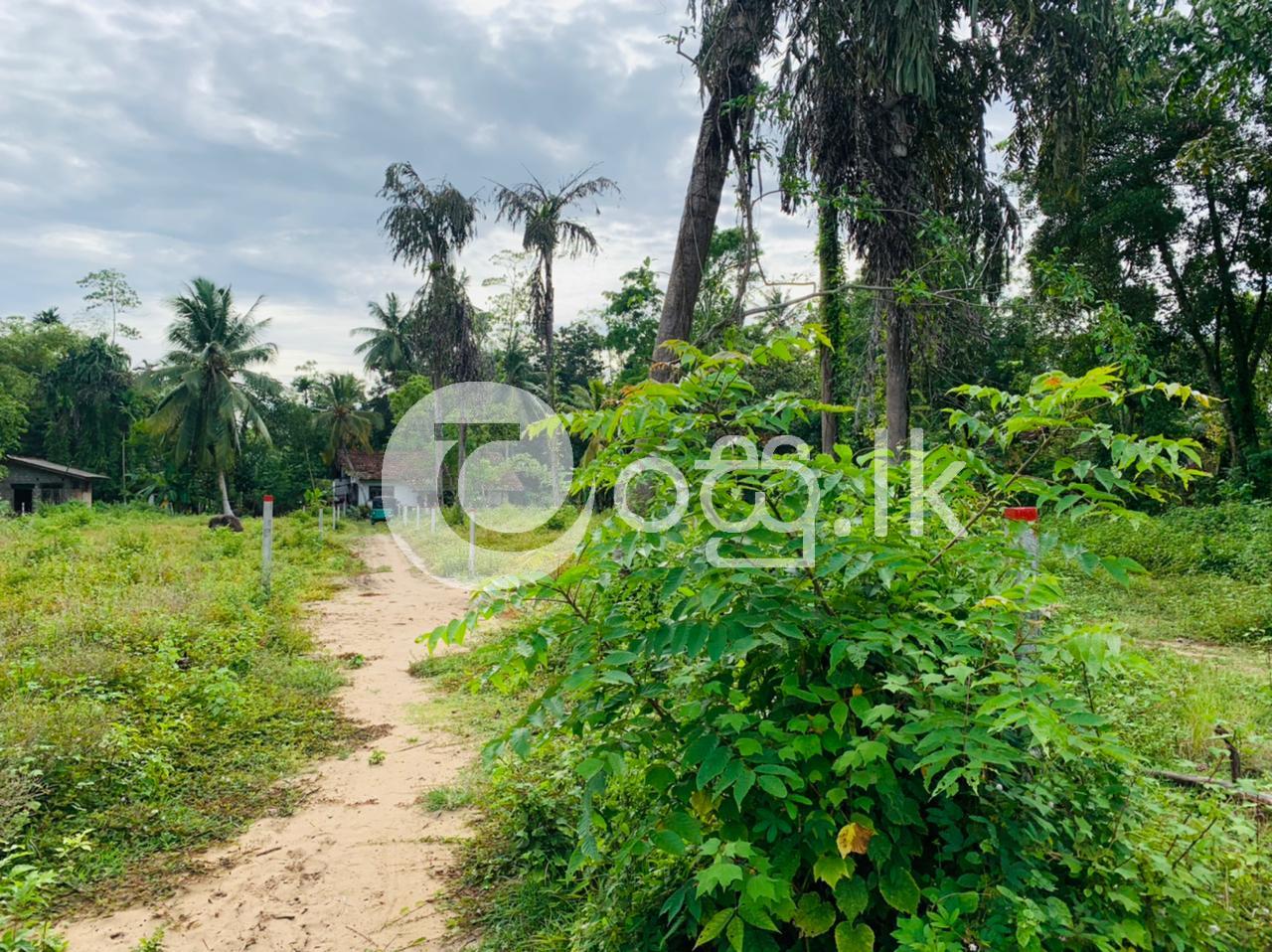 Land For Sale In Ahungalla Land in Balapitiya