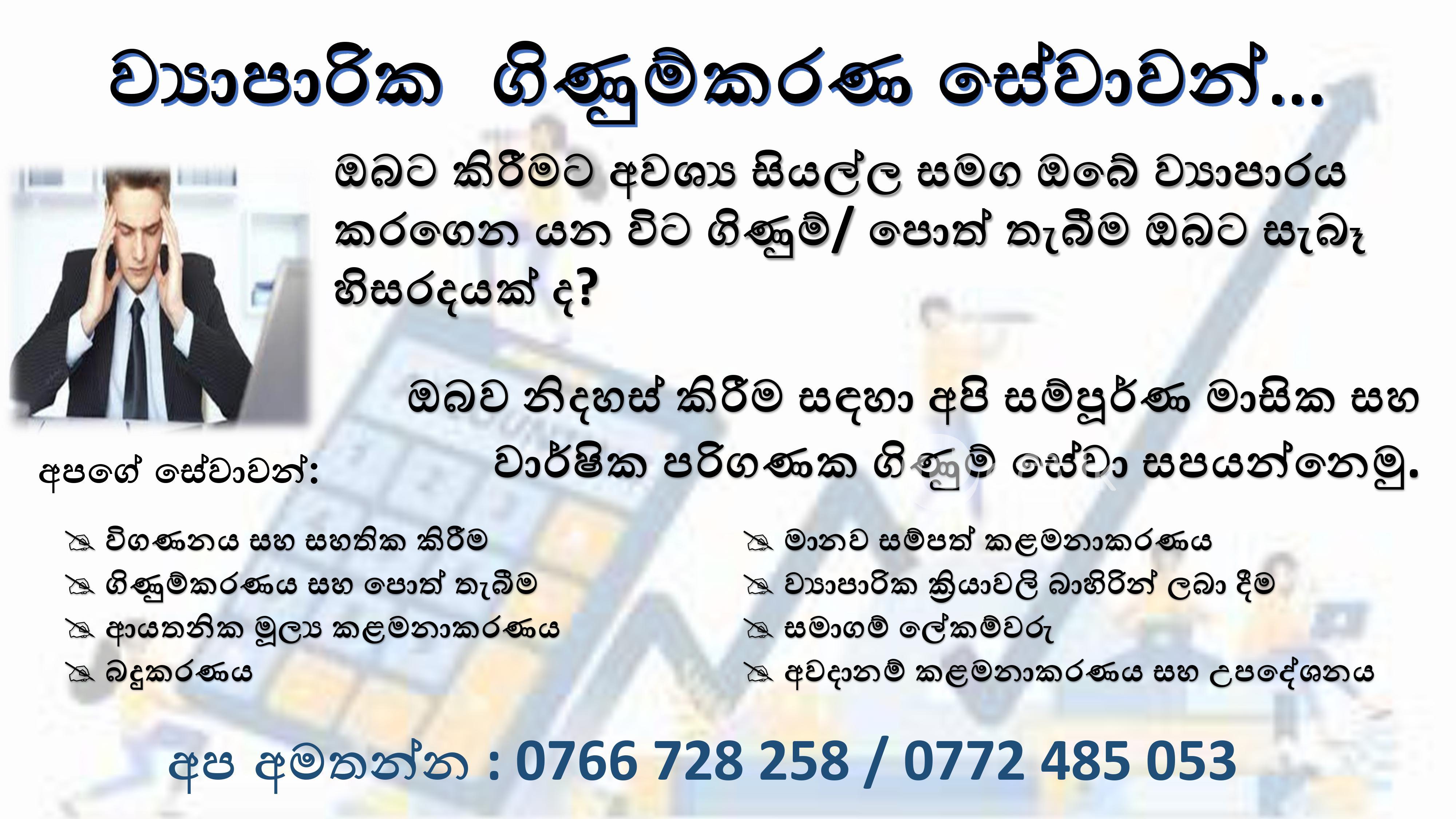 Business Accounting Services Other Business Services in Gampaha
