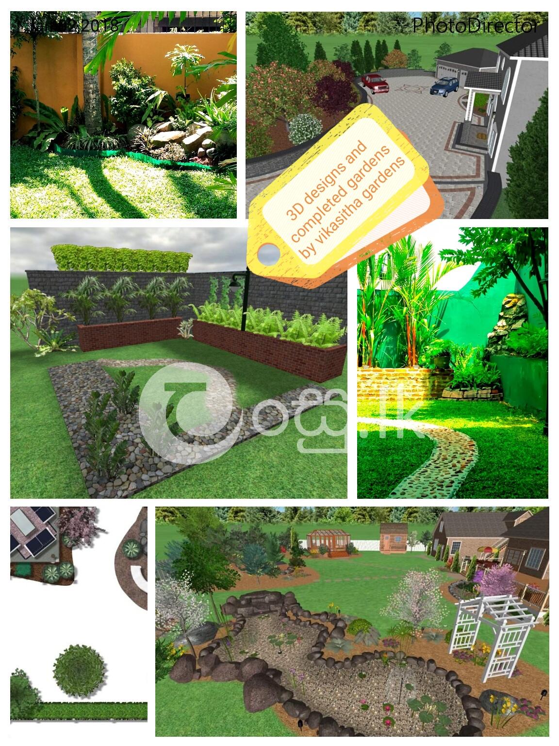 Professional landscaping by vikasitha gardens  Domestic Services in Colombo 5