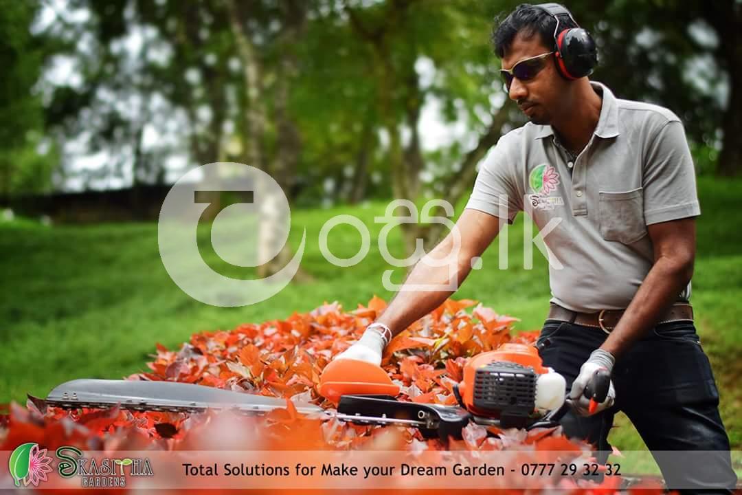 Professional landscaping by vikasitha gardens  Domestic Services in Colombo 5