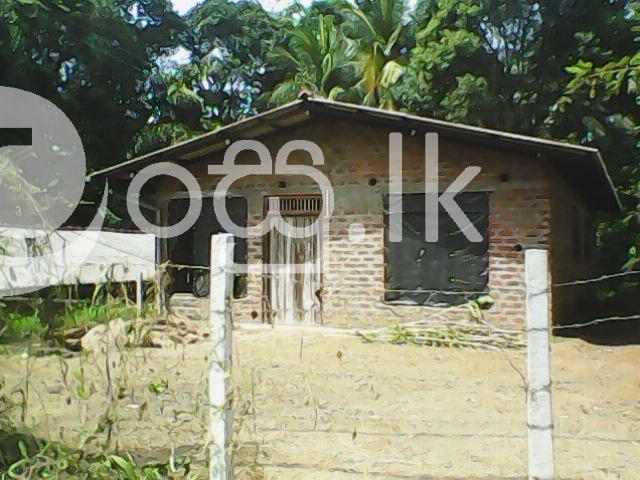 Lease For House Office Or Stores Houses in Katugastota