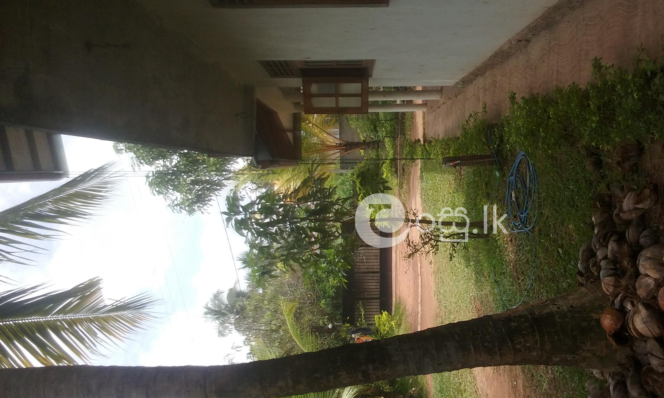 land with upstair house for sale  Land in Rajagiriya