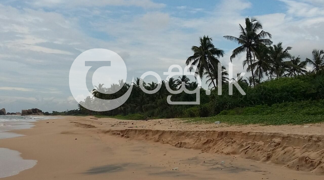 Beach Front Land Land in Balapitiya