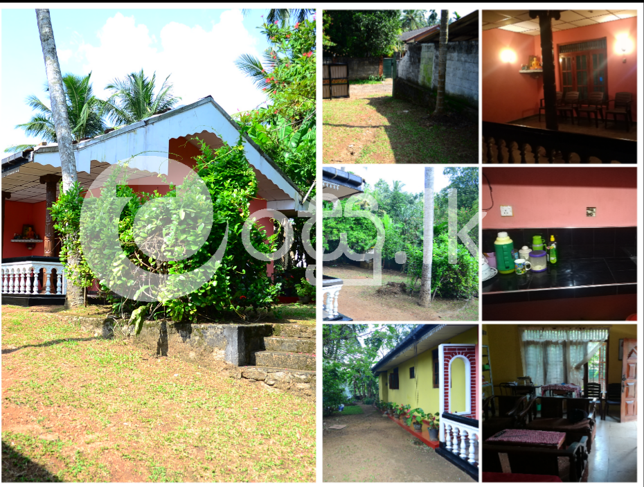House for sale near Nittambuwa town with all facilities. Houses in Nittambuwa