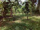 Land for sale in Alawwa Land in Alawwa
