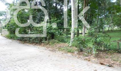 Land for Sale in Kiribathgoda Land in Colombo 1