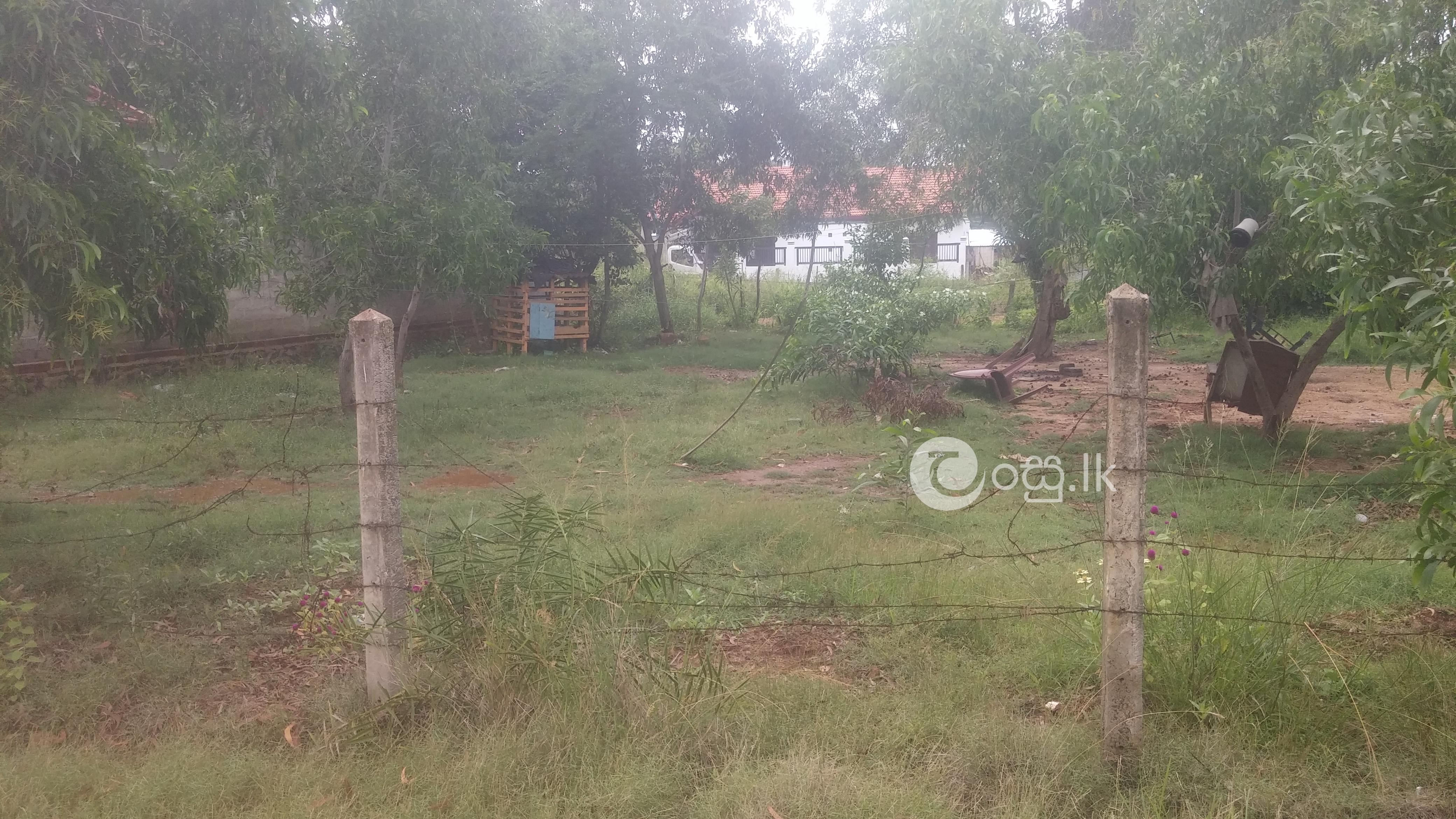 Valuable land in chilaw town Land in Chilaw