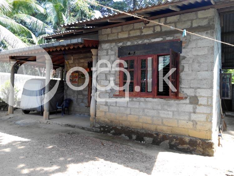 House for Sale in Thihariya Nittambuwa Houses in Nittambuwa