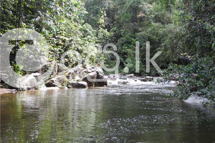 Beautiful Land for Sale in Neluwa Land in Galle