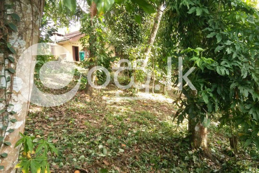 House with Land For Sale In Kaluthara Houses in Kalutara
