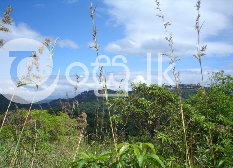 5 Acre Land in Kandy  Land in Kadugannawa