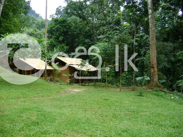 Land in Kitulgala on the Colombo Hatton main Road Land in Kithulgala
