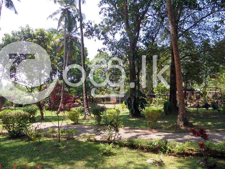 292 Perches Land with Complete House in Kandana Houses in Kandana