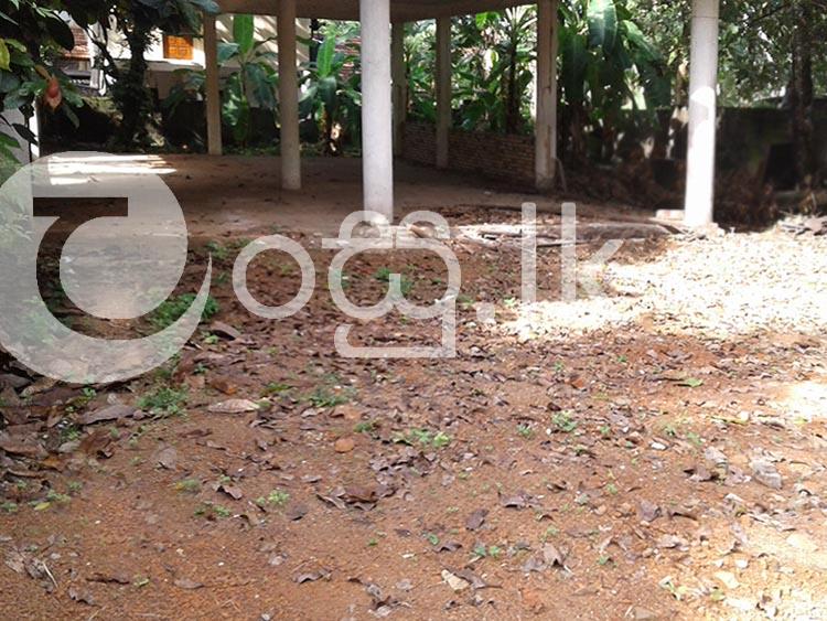 52 Perches Land in Ambagahawatta Minuwangoda Land in Gampaha