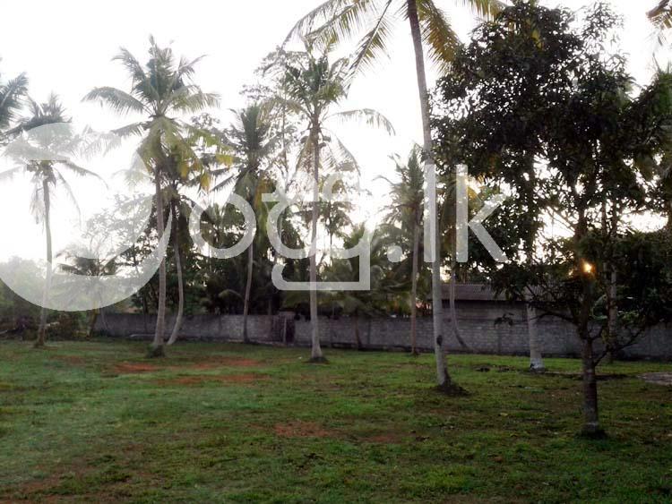 and for Sale in Beruwala bordering to River Land in Aluthgama