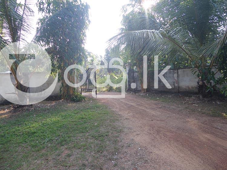 90 Perches Land with House in Panawala Nittambuwa Houses in Nittambuwa