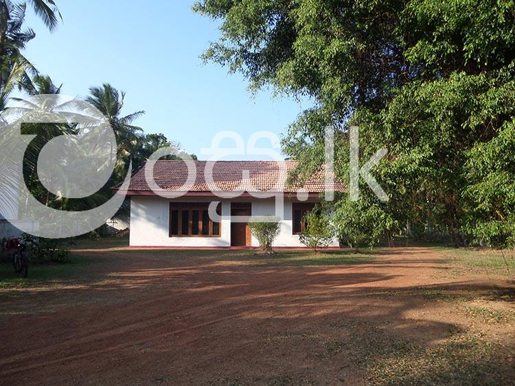 90 Perches Land with House in Panawala Nittambuwa Houses in Nittambuwa