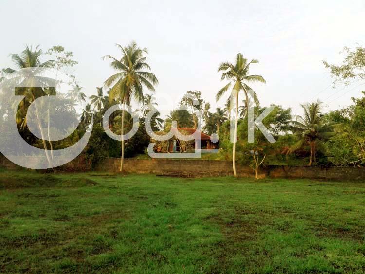 Commercial Property in Beruwala Land in Beruwala