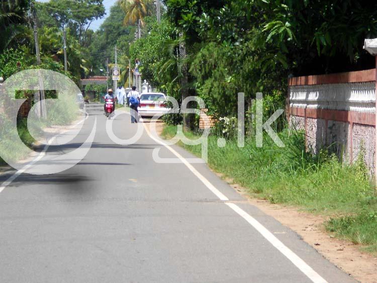 Valuable Land in Kochchikade Negombo Houses in Negombo