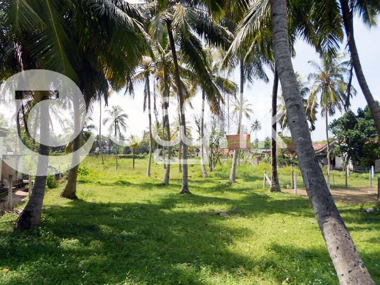 Valuable Land in Kochchikade Negombo Houses in Negombo