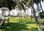 Valuable Land in Kochchikade Negombo in Negombo