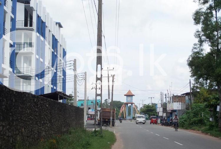 25.5 Perches Residential Land at Ekala. Land in Gampaha