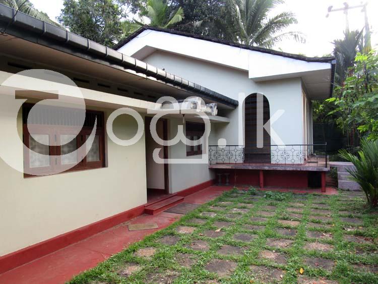 Furnished Beautiful Home in Madagampitiya Houses in Divulapitiya