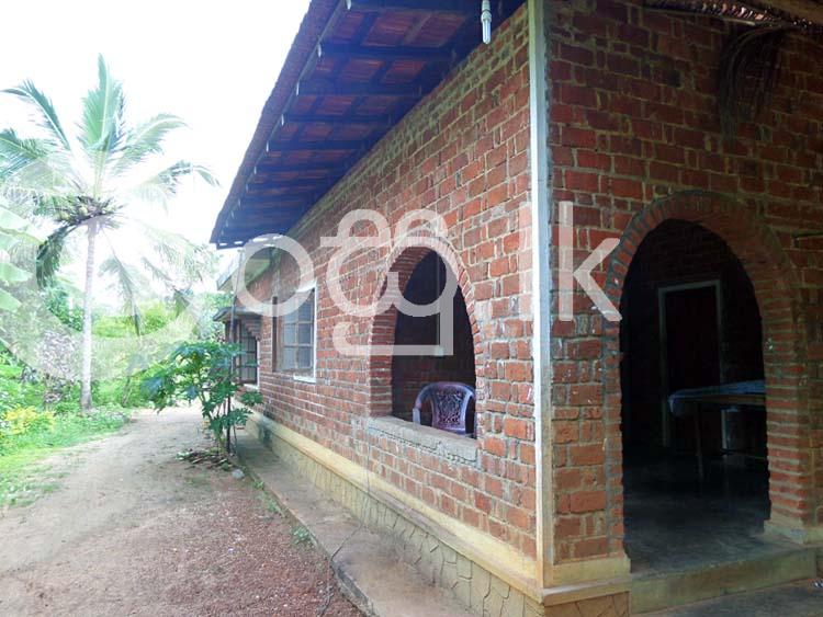 3.5 Acres Land with a House in Nikaweratiya Houses in Nikaweratiya