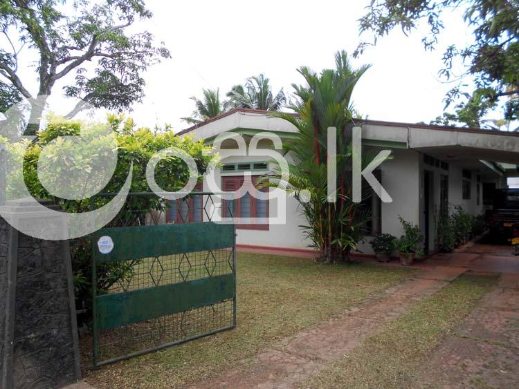 House and Valuable Land in Thaladuwa Road, Negombo Houses in Negombo